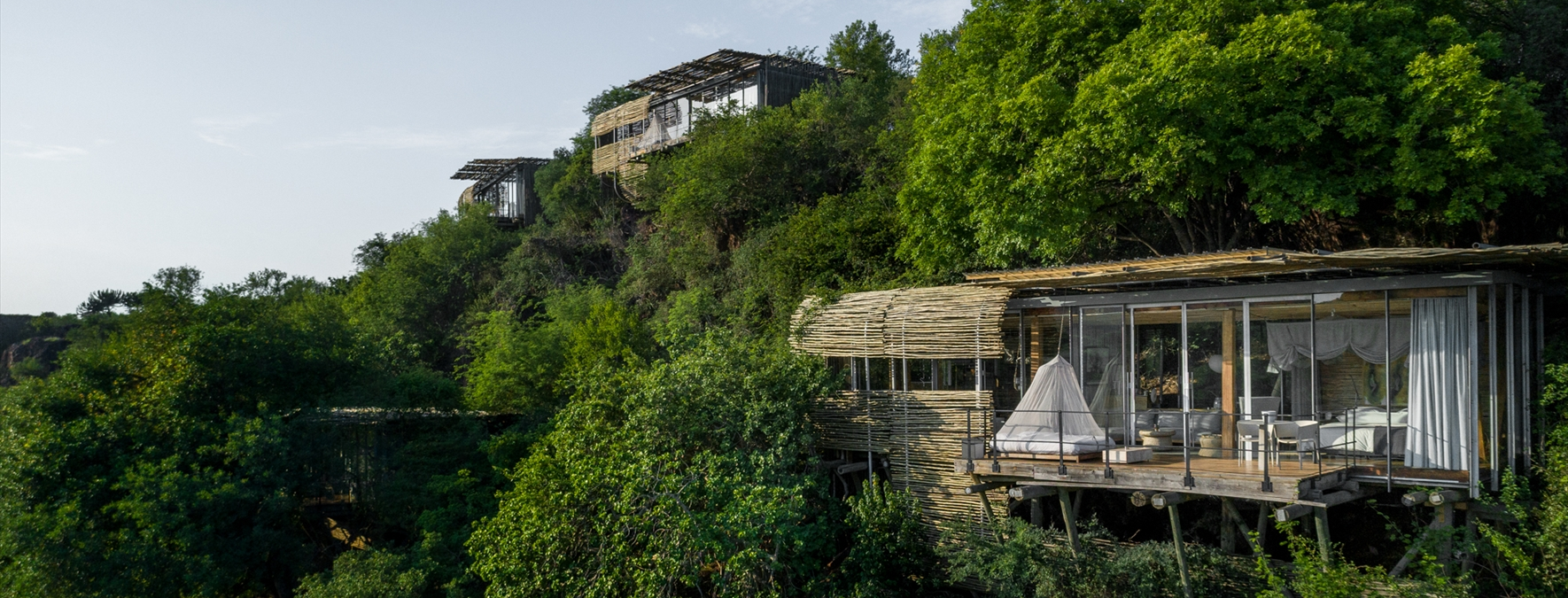 シンギタ レボンボ