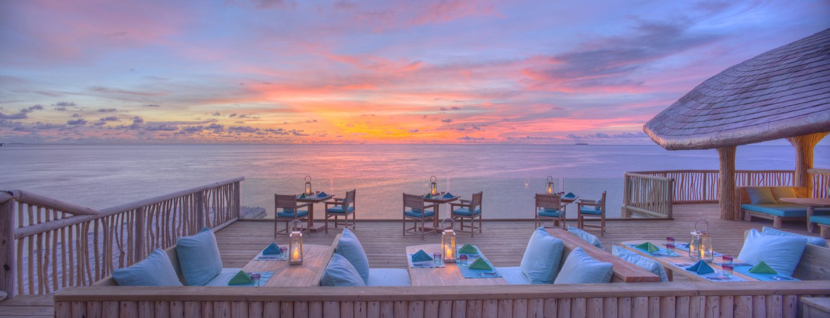 2026年!ソネバフシ・ソネバジャニ オファー