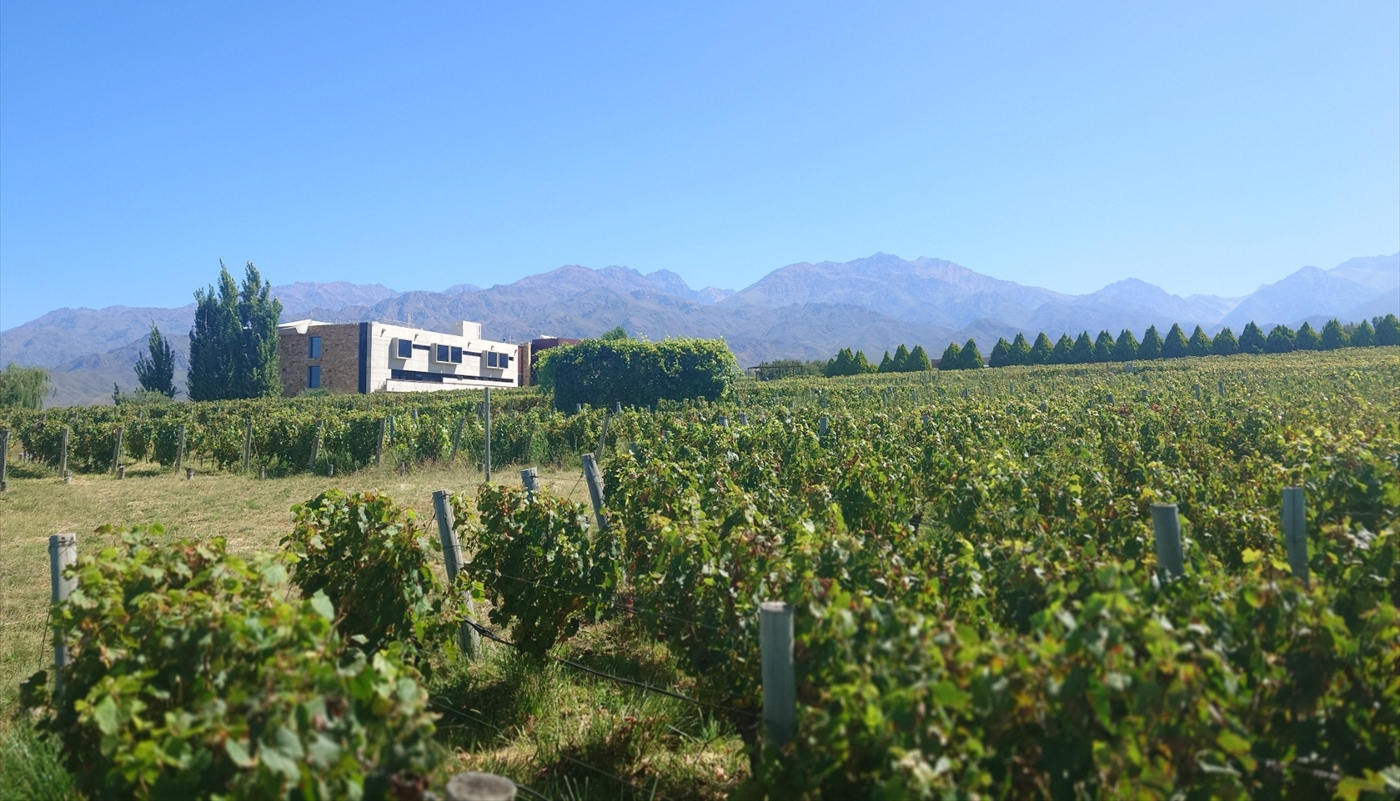 旅の延長線にある一杯｜Offbeat