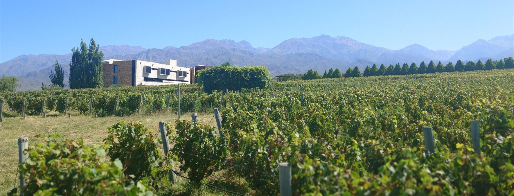 旅の延長線にある一杯｜Offbeat